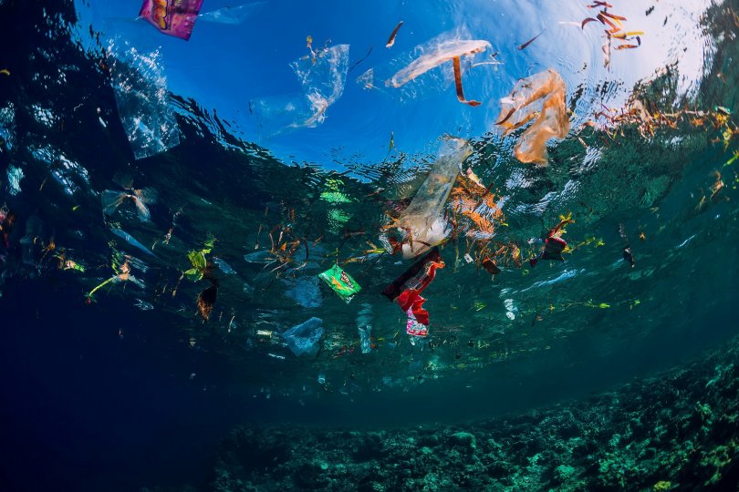 Pollution plastique des océans