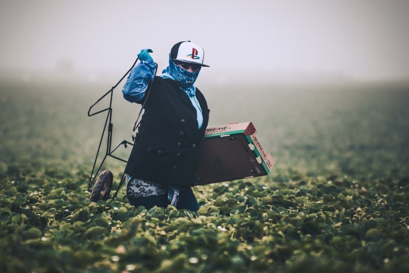 Agricultural worker 