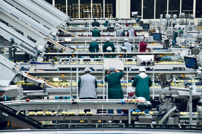 worker in a fruit packing plant.